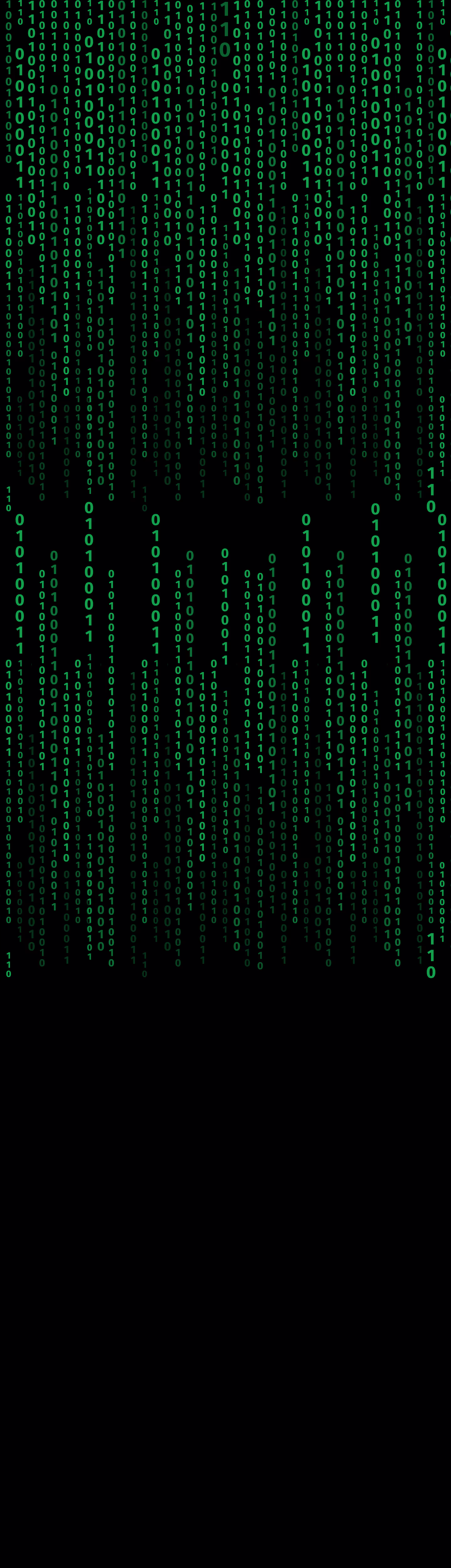 assembly machine language